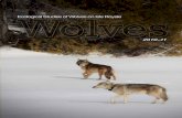 Ecological Studies of Wolves on Isle Royale - mtu.edu · Ecological Studies of Wolves on Isle Royale Annual Report 2010–11 by John A. Vucetich and Rolf O. Peterson School of Forest