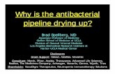 Why is the antibacterial pipeline drying up?iom.nationalacademies.org/~/media/Files/Activity Files/PublicHealth... · Why is the antibacterial pipeline drying up? Brad Spellberg,