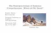 Comprehension: Where do We Stand? The …rmartin/bresshort.pdf · The Neuropsychology of Sentence Comprehension: Where do We Stand? Randi C. Martin Rice University European Conference