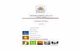 NATURA ENERGY (Pty) Ltdnatura-energy.com/ne-cp-0715.pdf · NATURA ENERGY (Pty) Ltd ... In association with Pramac of Italy and IST Powertech of South Africa, Natura Energy participated