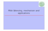 RNA Silencing, mechanism and applications · RNA Silencing, mechanism and applications 2. The role of small RNAs in gene regulation 3. Mechanisms of RNA interference 4. Biological