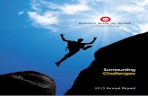 Surmounting Challenges - Southern Acids Report-2013.pdf · Leong So Seh Raymond Wong Kwong Yee CORPORATE GOVERNANCE COMMITTEE ... (cont’d) SENIOR MANAGEMENT TEAM Corporate Head