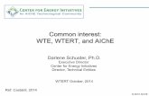 Common interest: WTE, WTERT, and AIChE - … · © 2010 AIChE Common interest: WTE, WTERT, and AIChE Darlene Schuster, Ph.D Executive Director Center for Energy Initiatives Director,