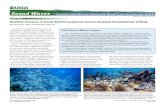 Cover Story Seafloor Erosion in Coral Reef Ecosystems … · Seafloor Erosion in Coral Reef Ecosystems Leaves Coastal Communities at Risk By Kimberly Yates and Heather Dewar ... As