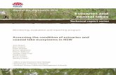 State of the catchments 2010 Estuaries and coastal lakes · Assessing the condition of estuaries and . coastal lake ecosystems in NSW. ... John Williams (NRC), Liz ... Assessing the