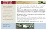 Wildlife Services Factsheet - USDA APHIS · Q.How does it work? A.An overdose of sodium nitrite reduces the ability of blood to transfer oxygen to tissues, ... Wildlife Services Factsheet