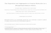 The Deposition and Aggregation of Aspirin Molecules …chem1.eng.wayne.edu/~gzmao/Paper Submitted 110204.pdf · The Deposition and Aggregation of Aspirin Molecules on a ... Aspirin,