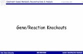 Gene/Reaction Knockouts - USU - 2017.pdf · Gene/Reaction Knockouts • Metabolic engineering has been successful is using the recombinant DNA technology to selectively alter cell