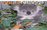 wildnews - Wildcare Australia · Let’s hope that the coming spring season is not too ... Zimmerman, bokarina; crystal nelson, bonogin; Janina Mccarthy, ... and we must not lose