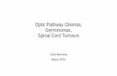 Optic Pathway Gliomas, Germinomas, Spinal Cord Tumours · Optic Pathway Gliomas, Germinomas, Spinal Cord Tumours Colin Kennedy March 2015. Visual pathway gliomas ... • May mimic