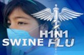 What is swine flu? - Christ University FLU1.pdf · Infective Period •Swine flu symptoms develop about one to three days after exposure to the virus and continue for about seven