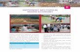 Different Sectors in Indian Economy - Keralascert.kerala.gov.in/images/text_books/chapter 9.pdf · Different Sectors in Indian Economy 145 9 ... Classification in the employment sector