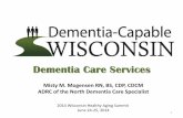 Dementia Care Programs - wihealthyaging.org · Dementia Care Services Misty M. Mogensen RN, BS, CDP, CDCM ADRC of the North Dementia Care Specialist 2014 Wisconsin Healthy Aging Summit