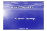 Anatomie de l'Appareil respiratoire - promotion 2014 …promotion2014-2017semestre1.yolasite.com/resources/Anatomie de l... · les cavités nasales situ ées entre le toit de la ...