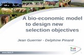 Jean Guerrier - Delphine Pinard - EAAPold.eaap.org/Previous_Annual_Meetings/2013Nantes/Papers/Published/... · . 15 . For the Prim'Holstein Breed : Estimation of the economic values