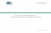 CEO WATER MANDATE Communication on progress … · SUEZ Environnement and its subsidiaries are committed in daily life to meet the challenge of preserving resources and protecting