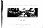 BIOGEOCHEMISTRY OF METHANE IN A SHALLOW SANDY ... - er.dtu… · BIOGEOCHEMISTRY OF METHANE IN A SHALLOW SANDY AQUIFER Lars Kyhnau Hansen Ph. d. Dissertation May 1998 Department of