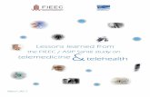The FIEEC · The FIEEC The FIEEC (Fédération des Industries Electriques, Electroniques et de Communication – Federation of Electrical, Electronic and Communication industries