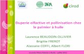 Duperie olfactive et pollinisation chez le palmier à huile Palmier 2012... · Duperie olfactive et pollinisation chez le palmier à huile Laurence BEAUDOIN‐OLLIVIER Brigitte FREROT.
