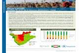 Burundi - ReliefWebreliefweb.int/sites/reliefweb.int/files/resources/Systeme de suivi... · (provinces kirundo et commune Giteranyi de Muyinga). L’introduction de la pisciculture,