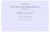 Tutoriel PDF Split and Merge Basic - v.1lmsav.free.fr/TUTOS/LOGICIELS/pdfsam-tuto-fr.pdf · Pdfsam est écrit avec Java Swing qui est: ... itext-2.0.2 pour la manipulation des fichiers