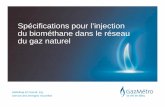 Spécifications pour l’injection du biométhane dans le ...apcas.qc.ca/wp-content/uploads/2012/10/Specifications-du-Bio... · les spécifications des conditions de service; Les
