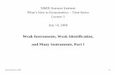 Weak Instruments, Weak Identification, and Many ... · Weak Instruments, Weak Identification, and Many Instruments, Part I . Revised July 22, 2008 3-2 Outline . Lecture 3. 1) What
