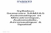 Syllabus Semestre€5AM2AS Automatique et …enseirb-matmeca.bordeaux-inp.fr/syllabus0708/pdf/syllabus_FR_5AM2... · Syllabus AU303 : Analyse et commande des systèmes non linéaires