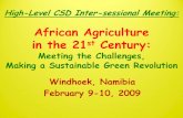 African Agriculture in the 21 Century · 11-03-2009 · Robert Hirsch, La Riziculture Malgache Revisitée: Diagnostic et Perspectives (1993-99) Agence Française de Développement,
