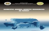 REPUBLIC of TURKEY - rfp-europe.org · REPUBLIC of TURKEY MINISTRY of FOOD AGRICULTURE and LIVESTOCK GENERAL DIRECTORATE of AGRICULTURAL RESEARCH and POLICY DOMESTIC ANIMAL GENETIC