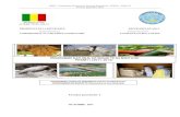 PROGRAMME NATIONAL DE SECURITE …faolex.fao.org/docs/pdf/mli145842.pdf · MALI - Programme National de Sécurité Alimentaire (PNSA) – Phase II Version Septembre 2011 PRESIDENCE