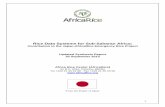 Rice Data Systems for Sub-Saharan Africa · Silamana Barry, Ibrahim Ouedraogo, Julienne Traore Gue, Drissa Hema, Blaise Kaboré, Bakary Belemou, Sibiri Yameogo, Besolbié Bationo,