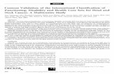 Content Validation of the International Ciassification of ... · Content Validation of the International Ciassification of Functioning, Disability and Health Core Sets for Head and