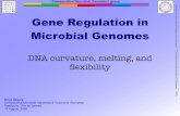 Center f Gene Regulation in Microbial Genomes€¦ · Comparative Microbial Genomics group Center f or Biological Sequence Anal ysis T he T ec hnical Univ er sity of Denmar k DTU