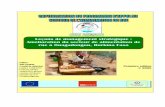 Capitalisation compilation A de Rue.doc - ongasmade.org · rue à Ouagadougou, Burkina Faso Editeur ONG ASMADE ... en direction du secteur de développement constitué par ... 3.8