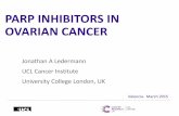 PARP inhibition in ovarian cancer · 2 2 RELEVANT DISCLOSURES •Advisory Boards ( no personal remuneration) for: –AstraZeneca –Clovis –Tesaro •Chief Investigator: ‘AstraZeneca