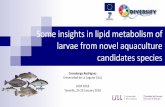 Some insights in lipid metabolism of larvae from novel ... · DTU I.Lund/Jonna Tomkiewicz Eel (Anguilla anguilla) DTU-ULL in vivo studies 4 dph 8 dph 12 dph pmoles mg ... 22:6n-3