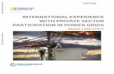 INTERNATIONAL EXPERIENCE WITH PRIVATE SECTOR PARTICIPATION ... · 2 | International Experience with Private Sector Participation in Power Grids at between 10% and 12% on the investments