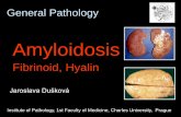 Mnohočetný leiomyosarkom tenkého střevapau.lf1.cuni.cz/file/6445/4amyloidosis.pdf · Struma amyloidea. Amyloidosis renis. CONGO Red ... Recognition of the above mentioned complex