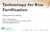 Technology for Rice Fortification€¦ · Technology for Rice Fortification ... •Wheat flour fortification ... choice of fortificant mixture, fortification technology Efficacy
