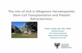 The role of HLA in AllogeneicHematopoietic Stem Cell … · The role of HLA in AllogeneicHematopoietic Stem Cell Trans plantation and Platelet ... Polymorphism of the Major Histocompatibility