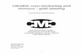 Ultrathin cryo-sectioning and immuno - gold labeling · of Jürgen Roth and colleagues (1978) on resin embedded sections, we (Geuze et al., 1981) started to use gold particles instead