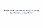 Disproportionate Share Program (DSH) (New Yorker’s ... · Federal DSH Reform Methodology Reduction methodology to be applied to each state by three criteria as determined by the