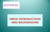 MRSA INTRODUCTION AND BACKGROUND · CASES OF MRSA ARE INCREASING DRAMATICALLY! A 2007 study from US Centers for Disease Control and Prevention (CDC) and published in the journal Emerging