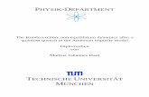 PHYSIK-DEPARTMENT · PHYSIK-DEPARTMENT The Kondo exciton: non-equilibrium dynamics after a quantum quench in the Anderson impurity model Diplomarbeit von Markus Johannes Hanl TECHNISCHE
