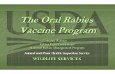 The Oral Rabies Vaccine Program - tnpublichealth.org Speakers/Wehner... · The Oral Rabies Vaccine Program Keith Wehner Rabies Field Coordinator National Rabies Management Program.