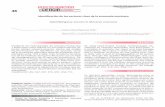 Investigación 48 y Ciencia DE LA UNIVERSIDAD ... - … 7.pdf · Palabras clave: análisis insumo-producto, ... Con respecto a la utilización de la MIP para deter- ... trices inversas