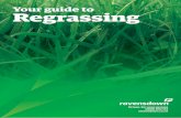 Your guide to Regrassing - Ravensdown · Your guide to. Integrated forage ... f No known ill-effects to sheep, cattle or deer ... f Suited to either sheep and beef or dairy systems