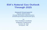 EIA’s Natural Gas Outlook Through 2025 - FIRT · EIA’s Natural Gas Outlook Through 2025 Howard Gruenspecht Deputy Administrator Energy Information Administration (howard.gruenspecht@eia.doe.gov)