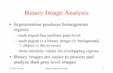 Binary Image Analysis - TUCpetrakis/courses/computervision/binary.pdf · Binary Image Analysis • Segmentation produces homogenous regions – each region has uniform gray-level